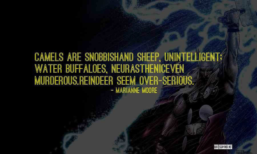 Llave De Tubo Quotes By Marianne Moore Llave De Tubo Quotes By Marianne Moore