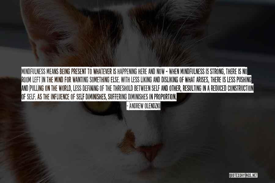 Lled Quotes By Andrew Olendzki Lled Quotes By Andrew Olendzki
