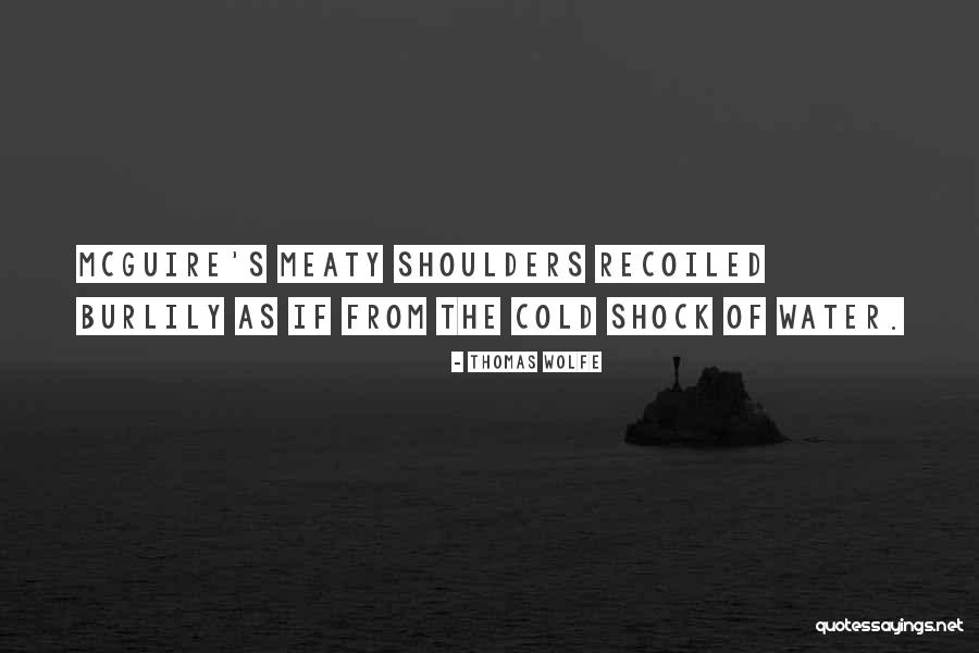Llegara Mike Quotes By Thomas Wolfe Llegara Mike Quotes By Thomas Wolfe