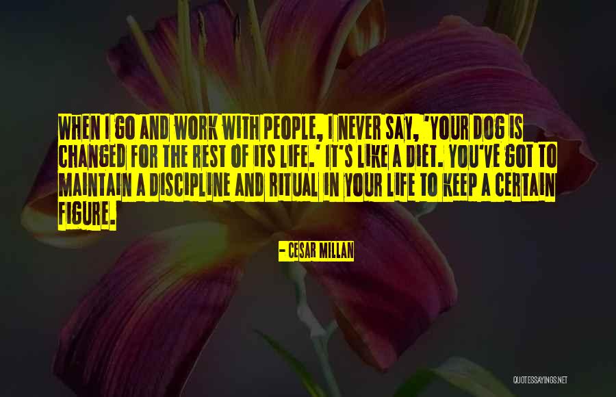 Llegues Translate Quotes By Cesar Millan Llegues Translate Quotes By Cesar Millan