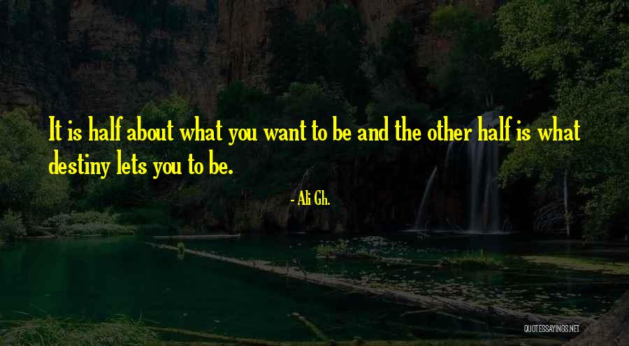 Llenado Quotes By Ali Gh. Llenado Quotes By Ali Gh.