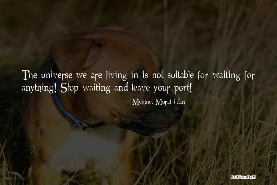 Llenas Hoy Quotes By Mehmet Murat Ildan Llenas Hoy Quotes By Mehmet Murat Ildan