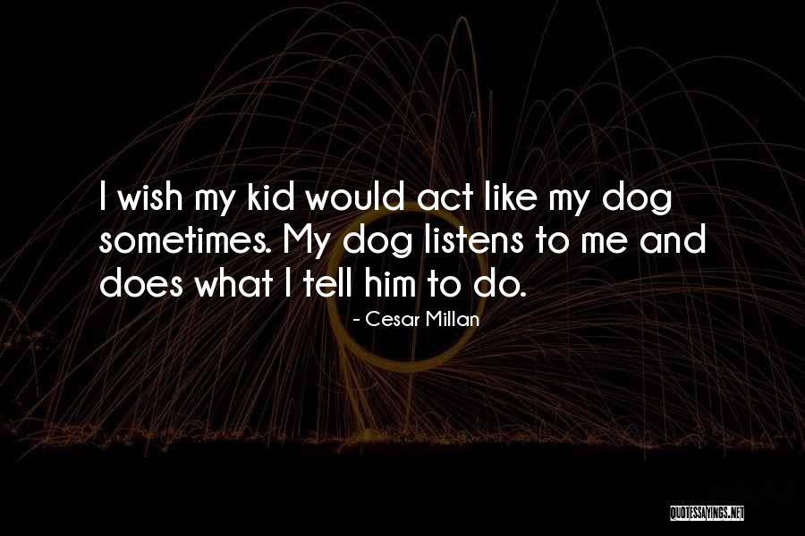 Llevado Por Quotes By Cesar Millan Llevado Por Quotes By Cesar Millan