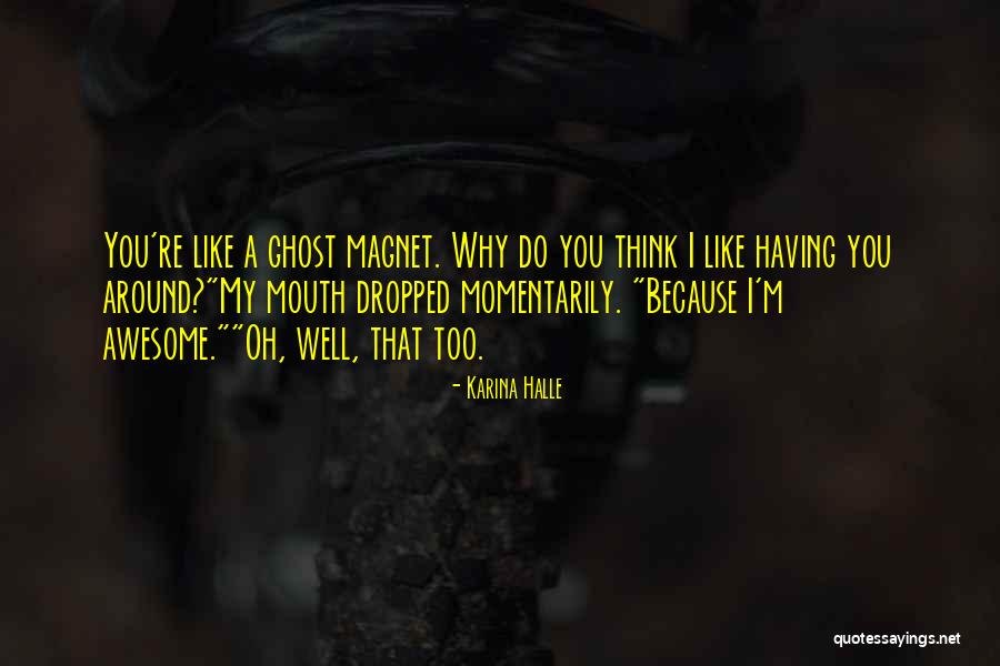 Llewellin English Setters Quotes By Karina Halle Llewellin English Setters Quotes By Karina Halle