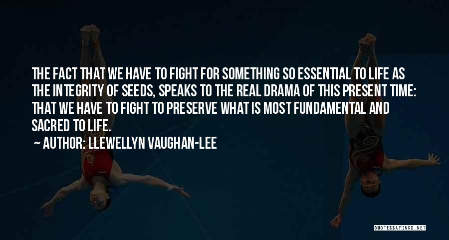 Llewellyn Vaughan-Lee Quotes 1857239