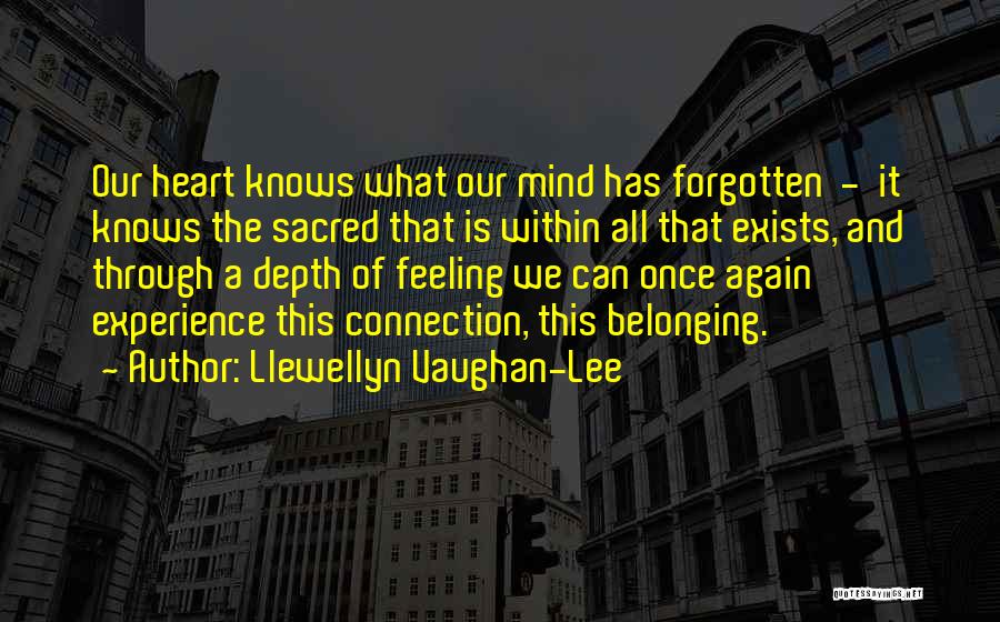 Llewellyn Vaughan-Lee Quotes 285868