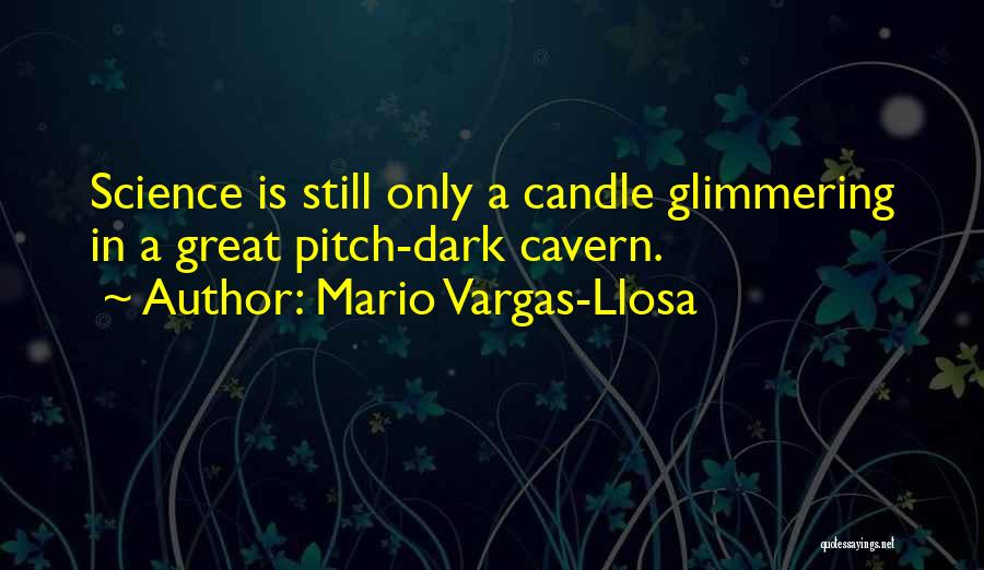 Llosa Quotes By Mario Vargas-Llosa