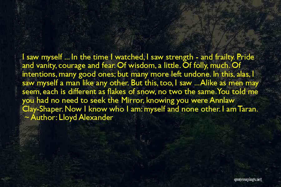 Lloyd Alexander Quotes 1642162