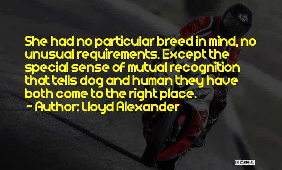 Lloyd Alexander Quotes 173832