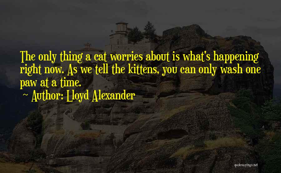 Lloyd Alexander Quotes 1762802