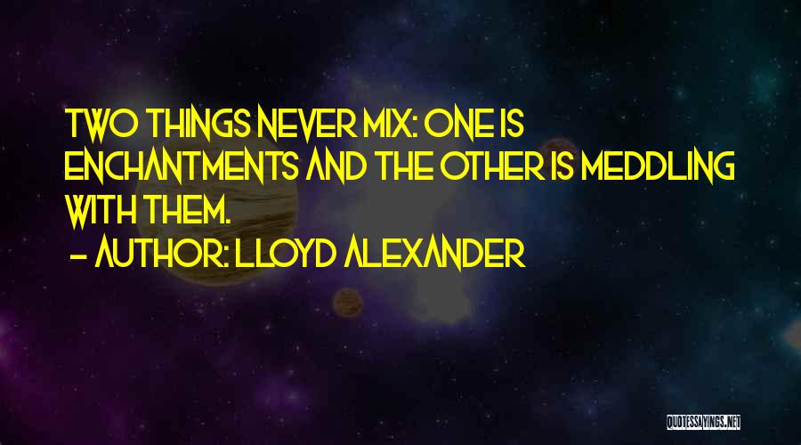 Lloyd Alexander Quotes 1928854