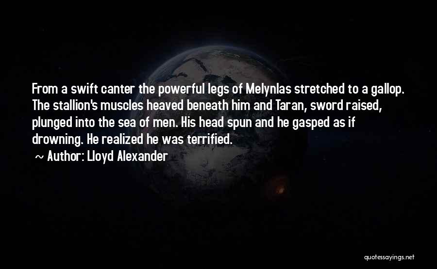 Lloyd Alexander Quotes 539531