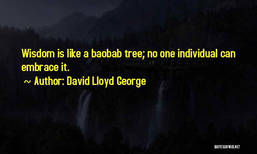 Lloyd George Quotes By David Lloyd George