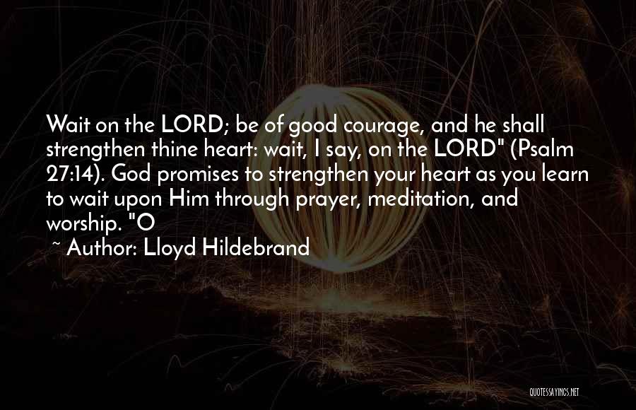 Lloyd Hildebrand Quotes 1881167
