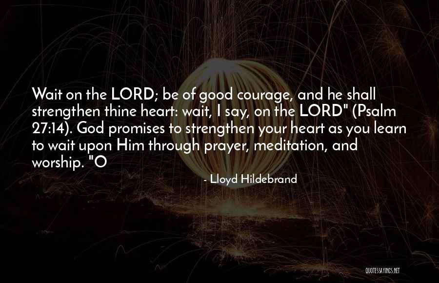 Lloyd Hildebrand Quotes 1881167