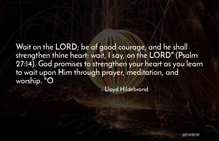 Lloyd Hildebrand Quotes 1881167