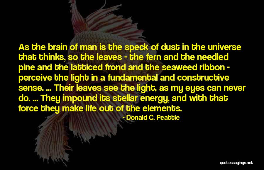 Llywelyns Pub Quotes By Donald C. Peattie Llywelyns Pub Quotes By Donald C. Peattie