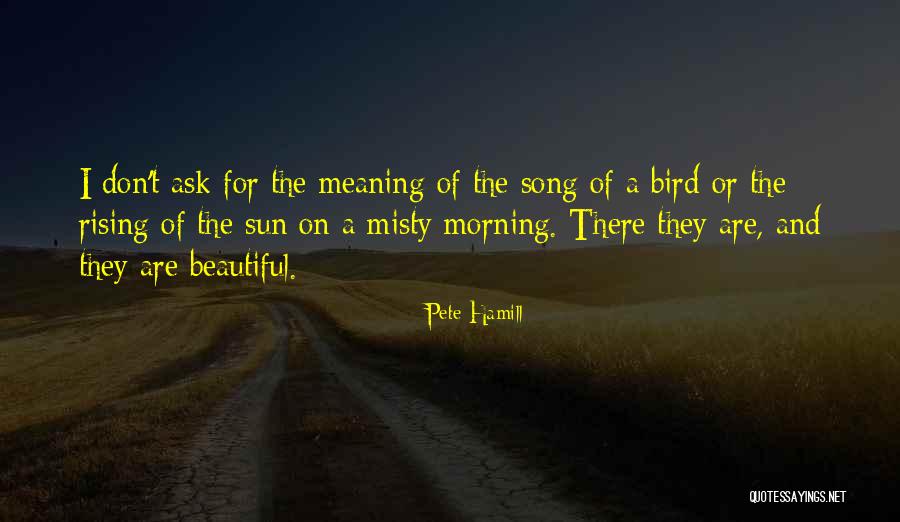 Lmans Quotes By Pete Hamill Lmans Quotes By Pete Hamill