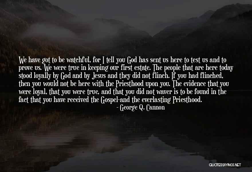 Lmis System Quotes By George Q. Cannon Lmis System Quotes By George Q. Cannon