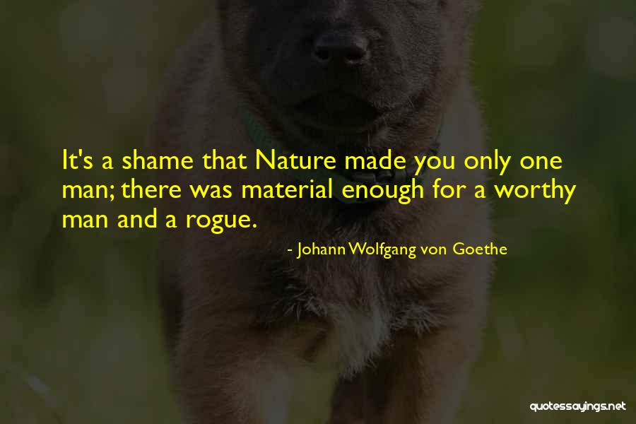 Lnichole Quotes By Johann Wolfgang Von Goethe Lnichole Quotes By Johann Wolfgang Von Goethe