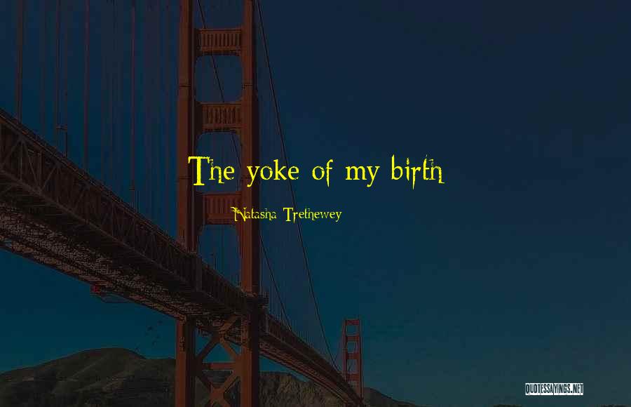 Lntc Quotes By Natasha Trethewey Lntc Quotes By Natasha Trethewey