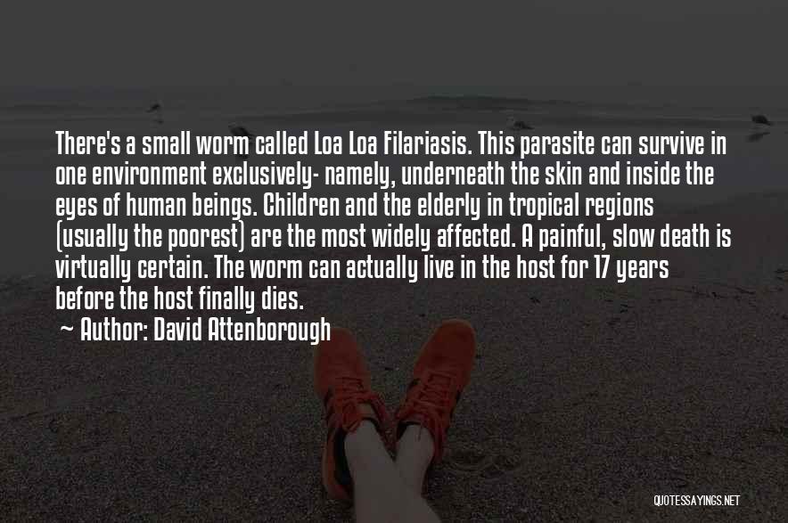 Loa Quotes By David Attenborough
