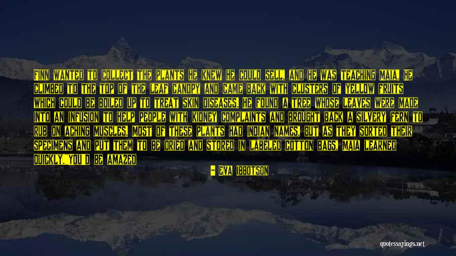Loach Helicopter Quotes By Eva Ibbotson Loach Helicopter Quotes By Eva Ibbotson