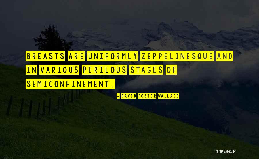 Load Data Local Infile Double Quotes By David Foster Wallace Load Data Local Infile Double Quotes By David Foster Wallace
