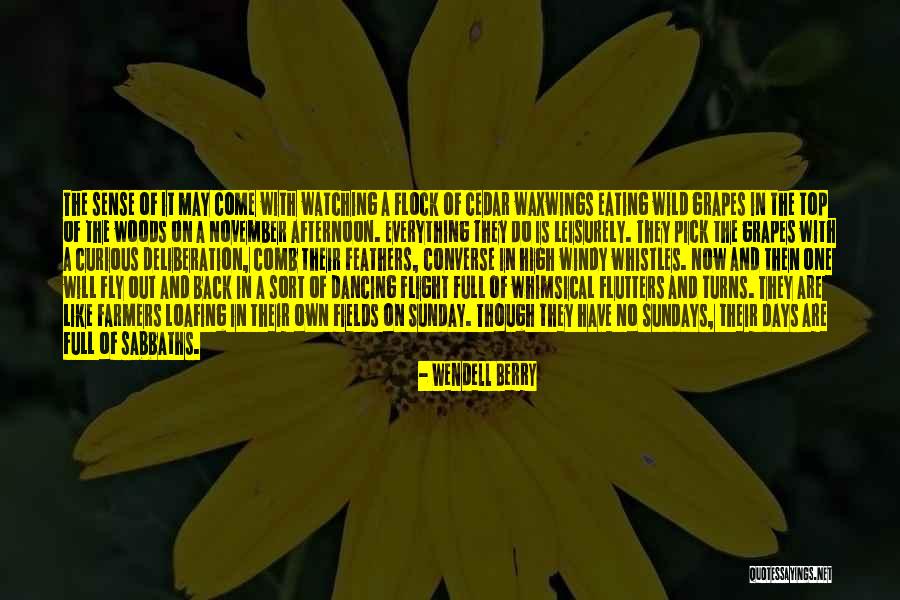 Loafing Quotes By Wendell Berry Loafing Quotes By Wendell Berry