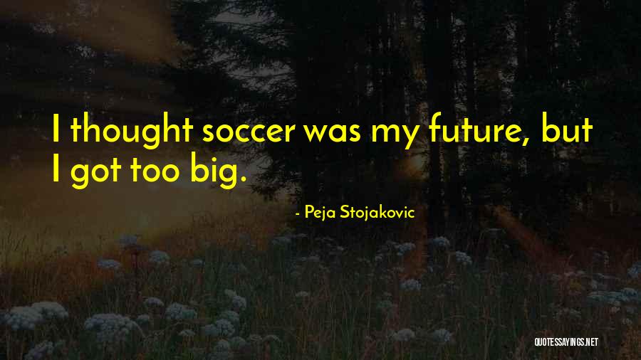Loaird Mccreary Quotes By Peja Stojakovic Loaird Mccreary Quotes By Peja Stojakovic