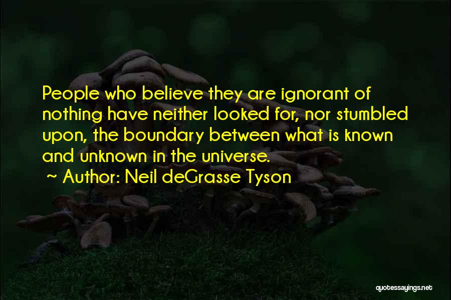 Loanda Lockridge Quotes By Neil DeGrasse Tyson