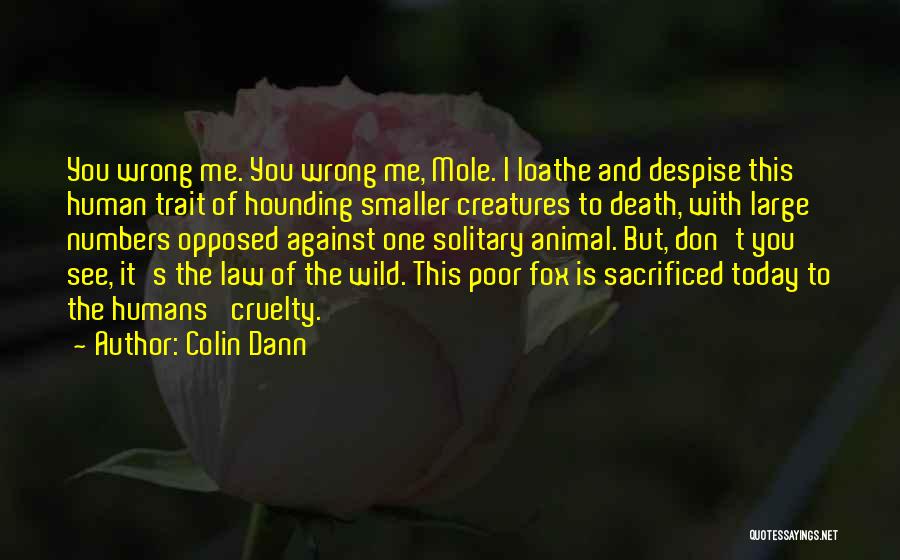 Loathe Quotes By Colin Dann