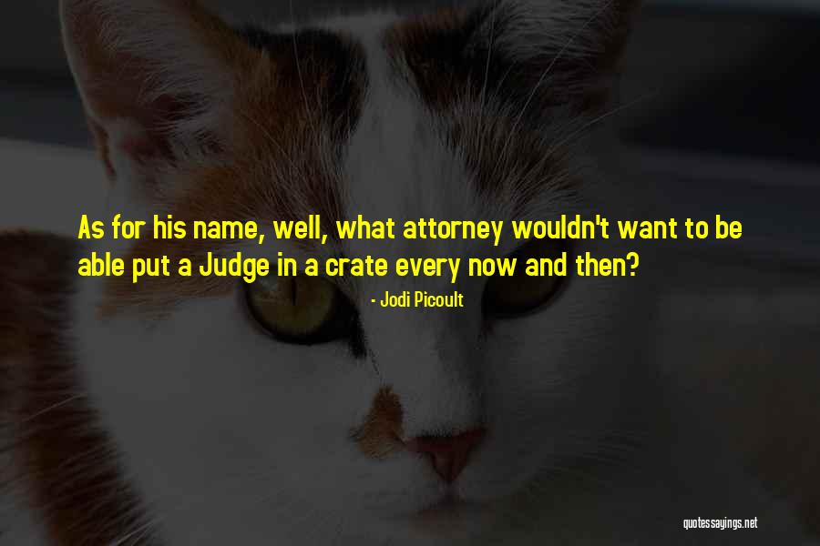 Loayza Attorney Quotes By Jodi Picoult Loayza Attorney Quotes By Jodi Picoult