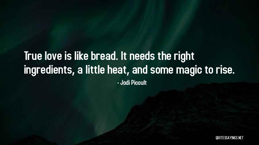 Lobaznyuk Team Quotes By Jodi Picoult Lobaznyuk Team Quotes By Jodi Picoult