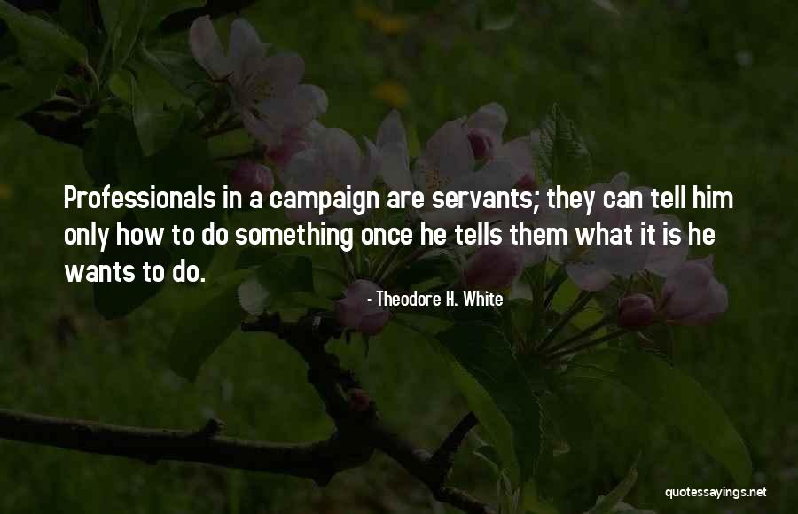Lobaznyuk Team Quotes By Theodore H. White Lobaznyuk Team Quotes By Theodore H. White