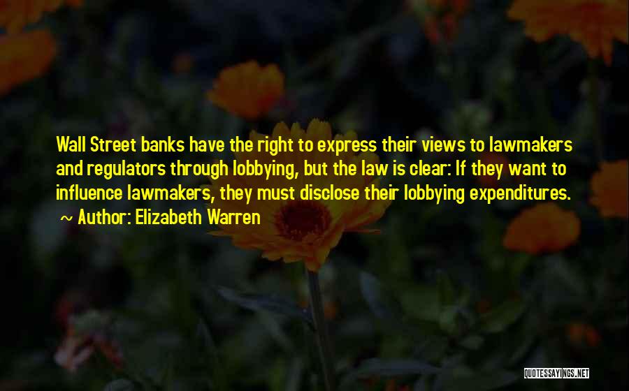 Lobbying Quotes By Elizabeth Warren