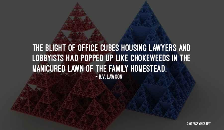 Lobbyists Quotes By B.V. Lawson