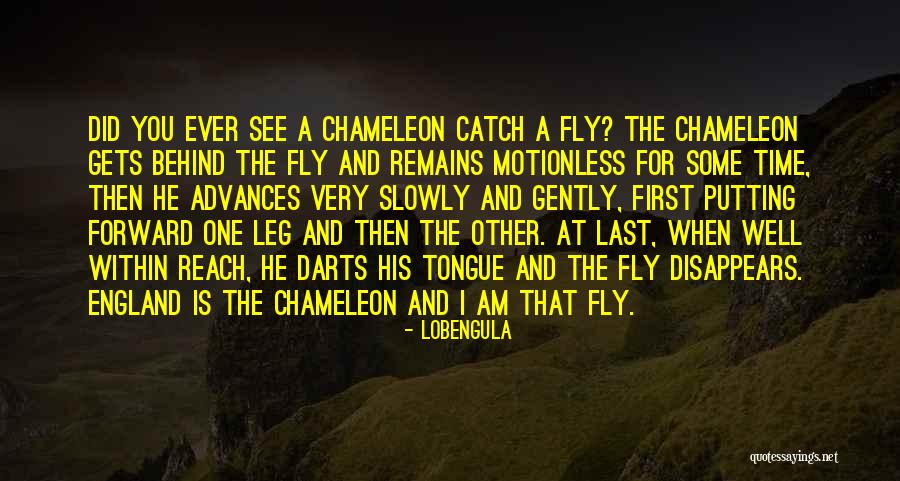Lobengula Quotes 922804 Lobengula Quotes 922804