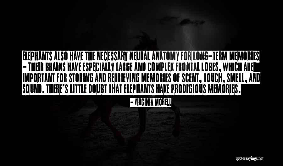Lobes Quotes By Virginia Morell Lobes Quotes By Virginia Morell
