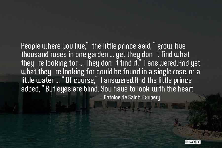 Lobna Sdiri Quotes By Antoine De Saint-Exupery Lobna Sdiri Quotes By Antoine De Saint-Exupery