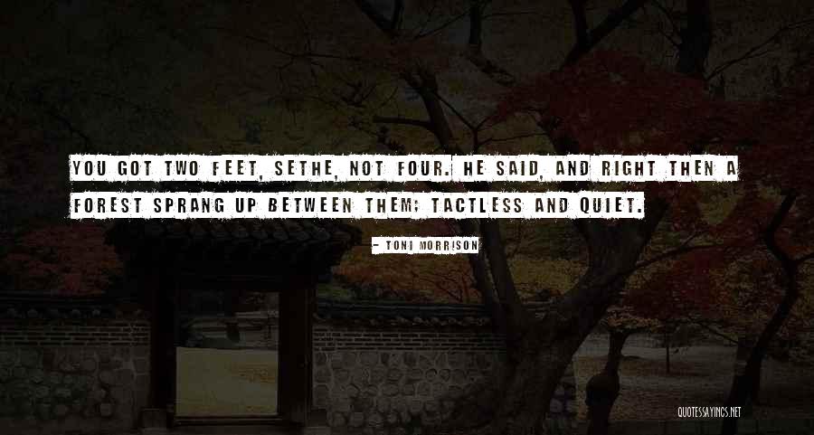 Localised Quotes By Toni Morrison Localised Quotes By Toni Morrison