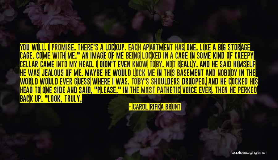 Lock Me Up Quotes By Carol Rifka Brunt Lock Me Up Quotes By Carol Rifka Brunt