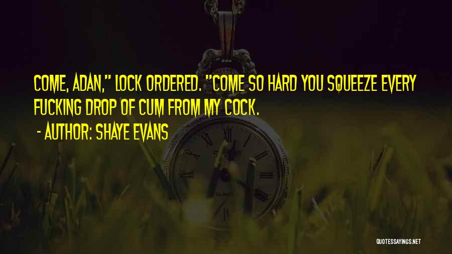 Lock Our Love Quotes By Shaye Evans