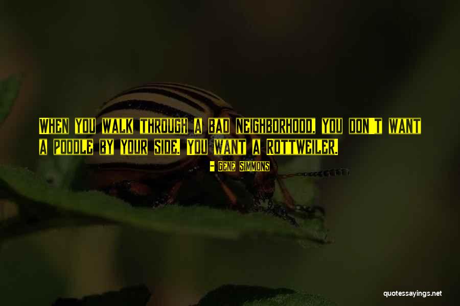 Lockean Quotes By Gene Simmons Lockean Quotes By Gene Simmons
