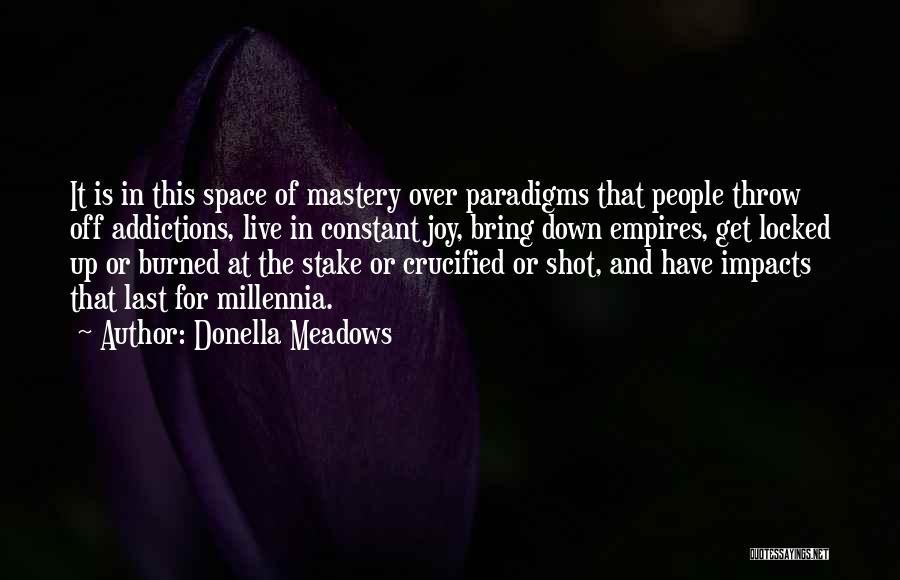 Locked Down Quotes By Donella Meadows