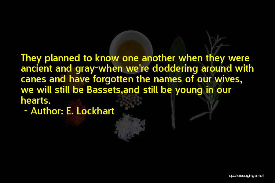 Lockhart Quotes By E. Lockhart