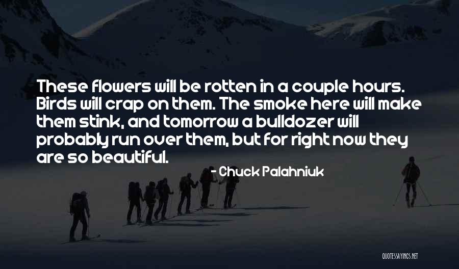 Lockheeds Cyber Quotes By Chuck Palahniuk Lockheeds Cyber Quotes By Chuck Palahniuk