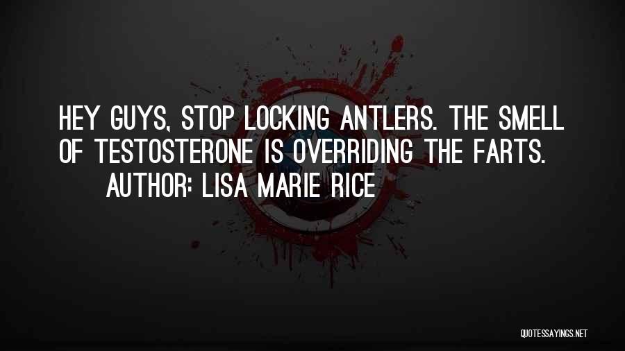 Locking Quotes By Lisa Marie Rice