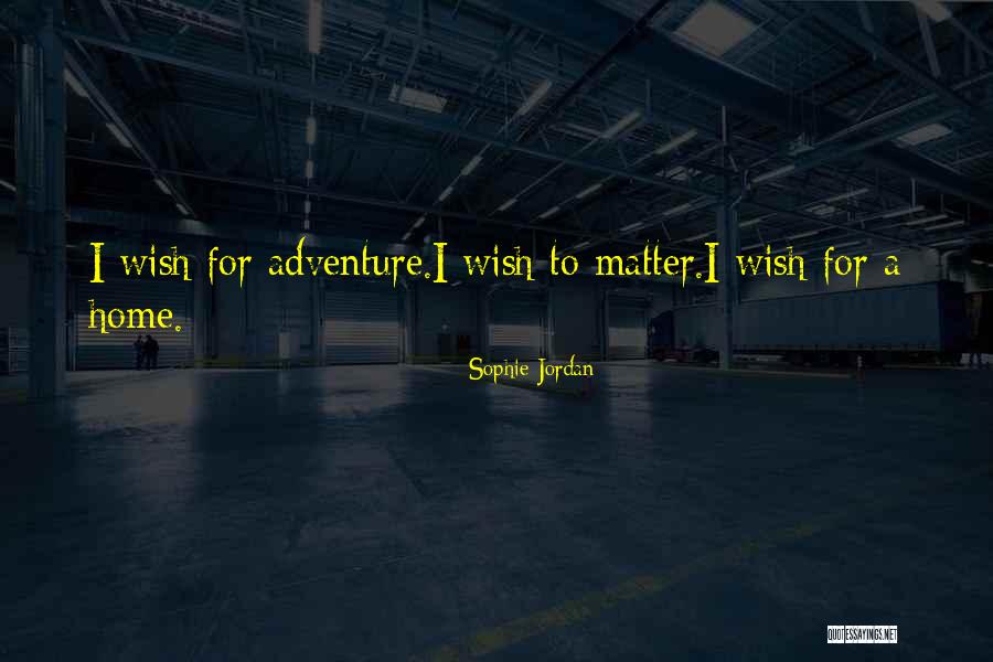 Lockpicks Quotes By Sophie Jordan