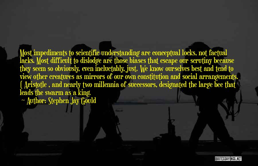 Locks Quotes By Stephen Jay Gould